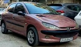 بيجو 206 موديل 2006, RF20118987