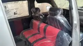 Shana CM 5 2008 for sale, Damascus, RF14191544