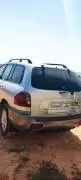 Hyundai Santa Fe 2004, RF38522988