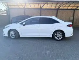 تويوتا كورولا 2019