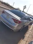 Hyundai Sonata 2016, Homs