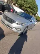 Hyundai Sonata 2016, Homs