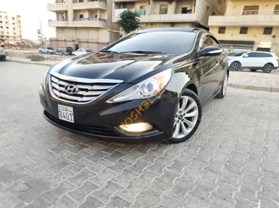 Hyundai Sonata Limited 2010