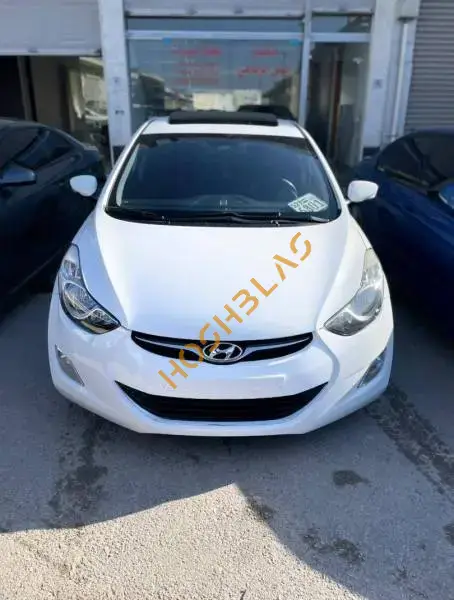 Hyundai Elantra 2012, Homs