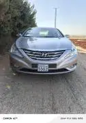 2010 Hyundai Sonata European
