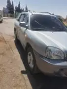 Hyundai Santa Fe 2004, Hama