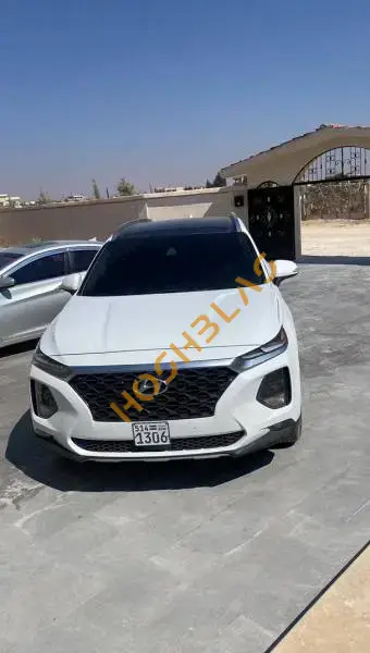 Hyundai Santa Fe 2020, Homs