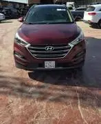 دي ام 2019, إدلب