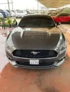 Ford Mustang 2015, Damascus