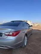 هونداي سوناتا 2010, حماة