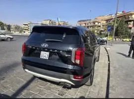 Hyundai Palaceed 2020