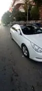 Hyundai Sonata 2011, Damascus