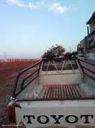 تيوتا موديل 1977, حمص