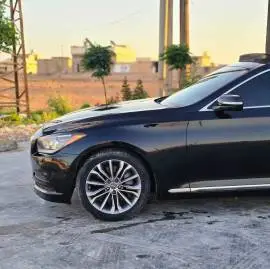 Genesis 2015, Aleppo