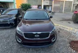 Kia Sorento 2019, Homs