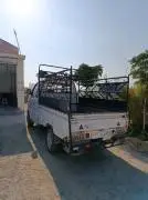 هافي مني 2010, دمشق