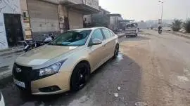 شفر كروز 2010