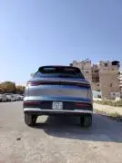 BYD SONG PRO DM-I 2025, Hama